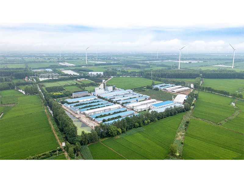 2023年中央一號(hào)文件出爐，畜禽產(chǎn)業(yè)應(yīng)抓住哪些新機(jī)遇？