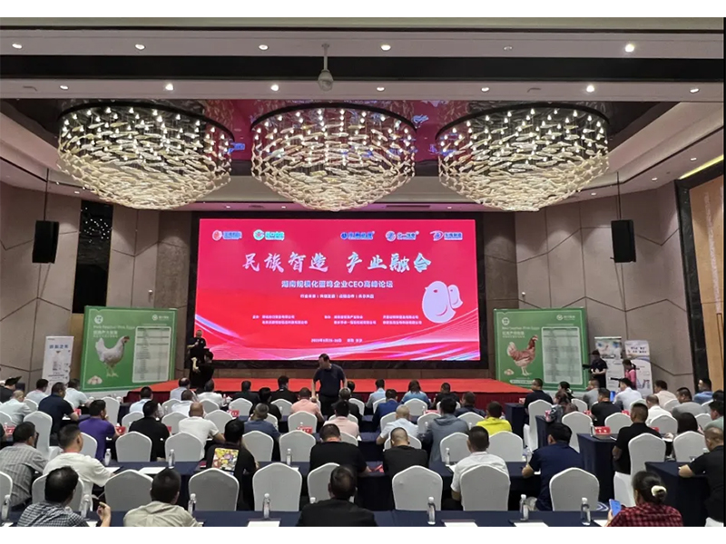 熱烈祝賀湖南規(guī)?；半u企業(yè)CEO高峰論壇取得圓滿成功！